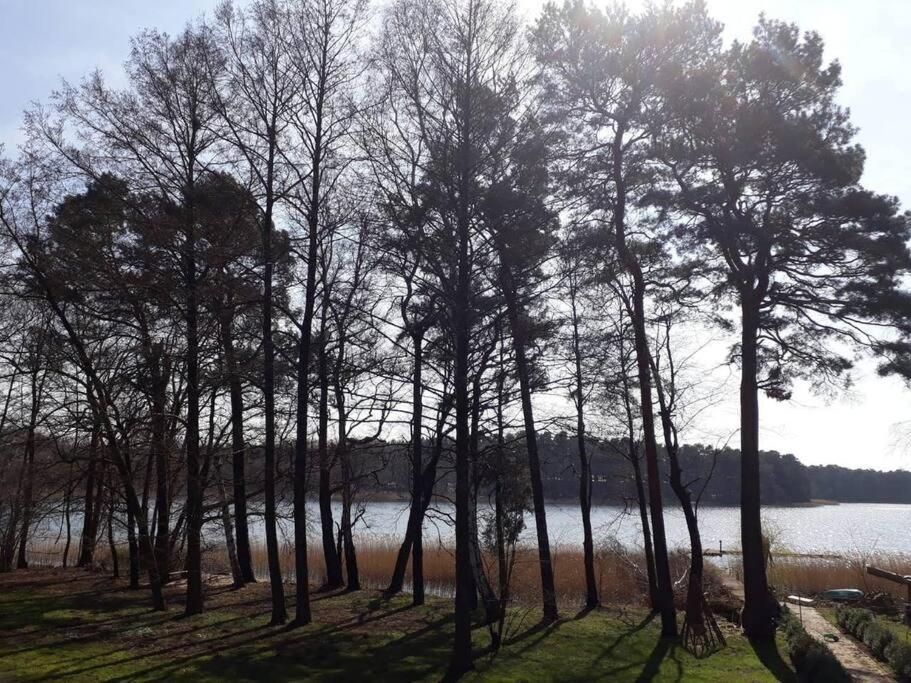 Penthouse Bernd Im Waldschloesschen Direkt Am See Wendisch Rietz Kültér fotó