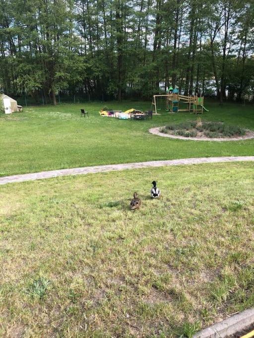 Penthouse Bernd Im Waldschloesschen Direkt Am See Wendisch Rietz Kültér fotó