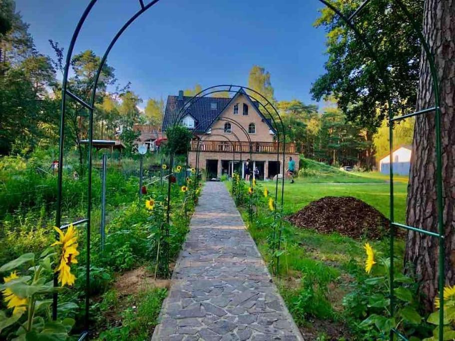 Penthouse Bernd Im Waldschloesschen Direkt Am See Wendisch Rietz Kültér fotó